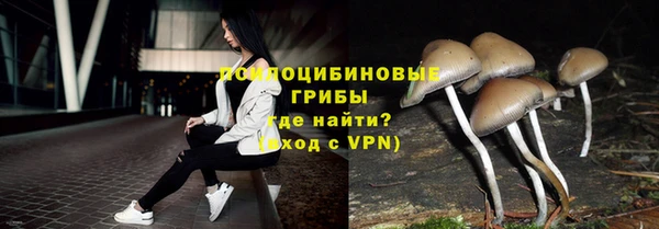 не бодяженный Щучье