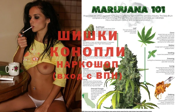 не бодяженный Карпинск