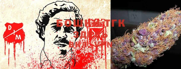 спайс Касимов